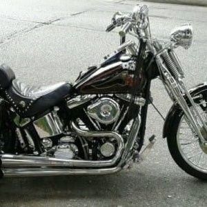 Meet your Posher, Gene